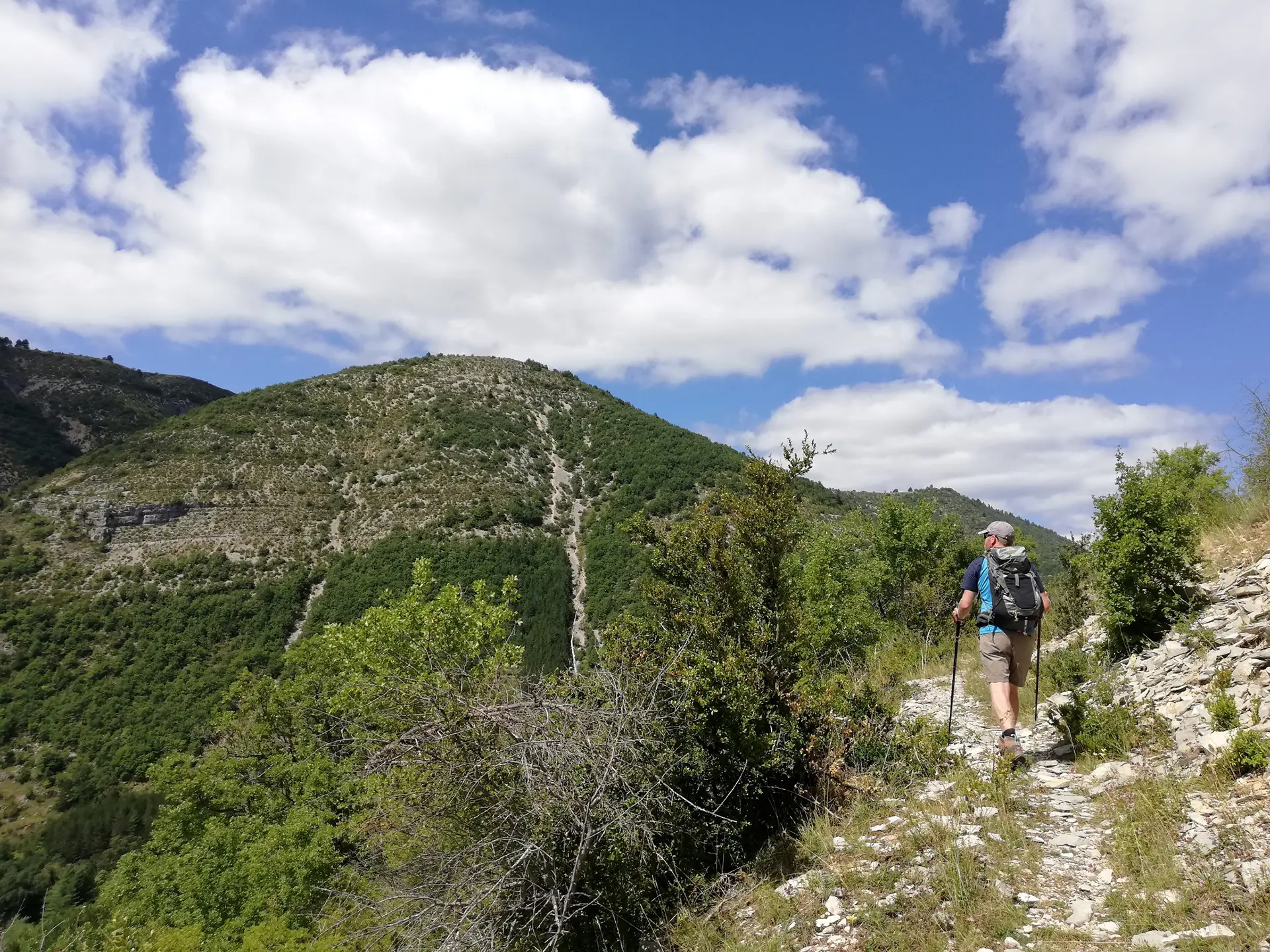 Illustration - Évadia nature
