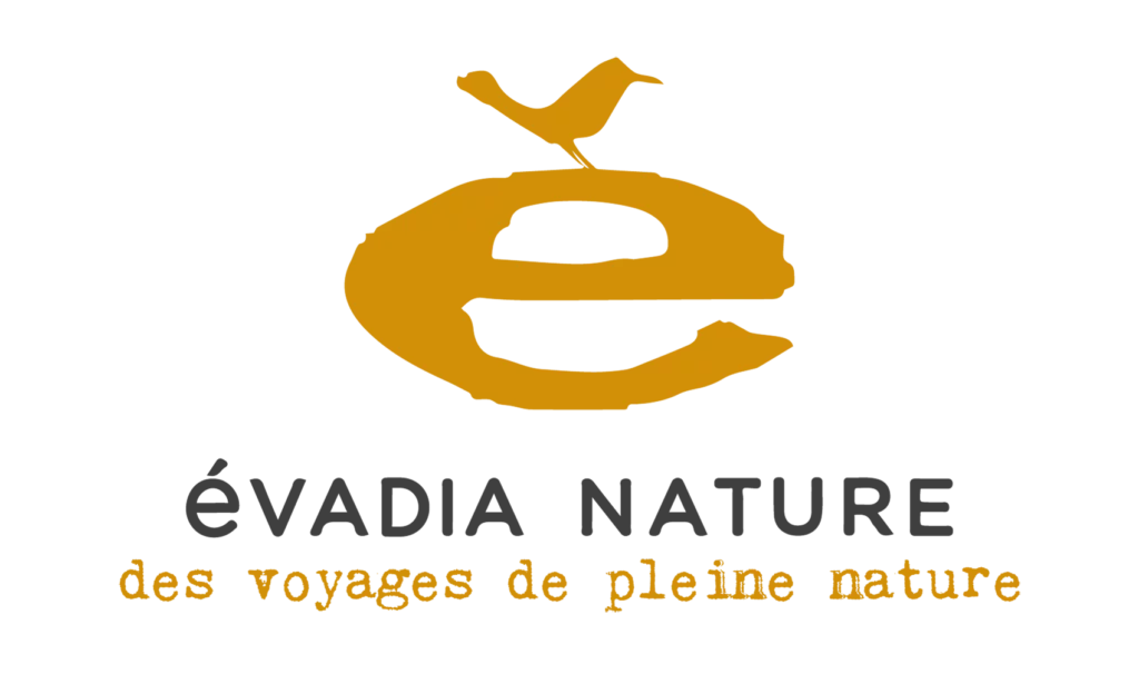 Logo - Évadia nature