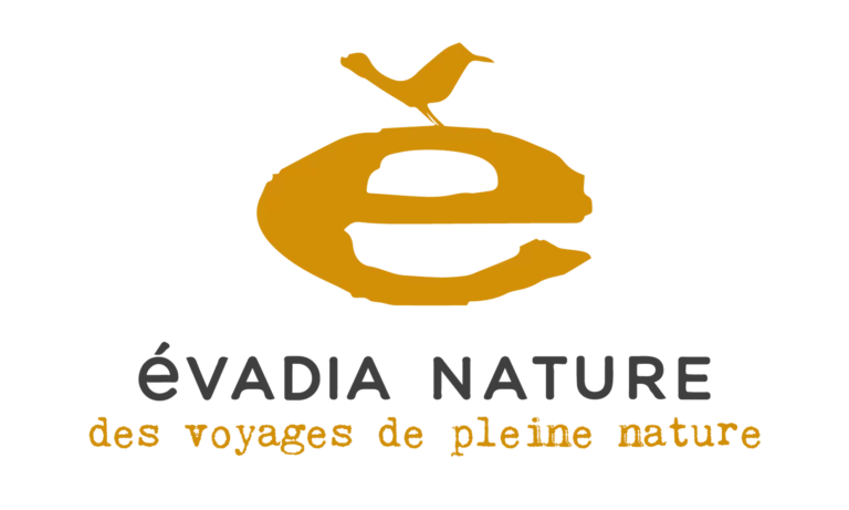 Logo - Évadia nature